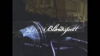 Blindspott - Plastic Shadows