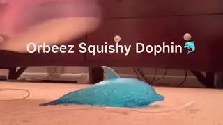 Asmr slippers crushing