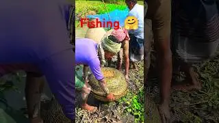 Fishing is an arts🥰 #love #fishing #shorts #fish #yt #flute