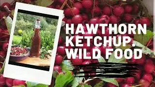 Foraged Hawthorn Ketchup.