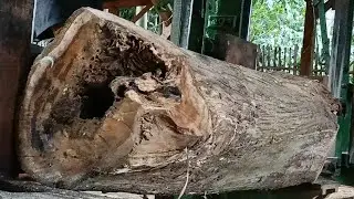 Find out what's inside the hollow wood and the crazy and unexpected ideas on the giant sawmill