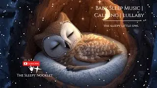 Baby Sleep Music | Bedtime story | Lullaby | Sleepy Little Owl