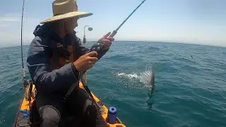 My BIGGEST SHARK Ever Caught from a Kayak