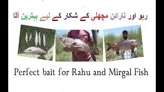 Super fishing Bait | Rahu fish Bait | Mirgal fish Bait | Carp fish Bait |