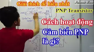 Phần 1 Cảm biến PNP là gì ? Hoạt động ra sao? Ứng dụng? Transitor PNP là gì? | Network Man