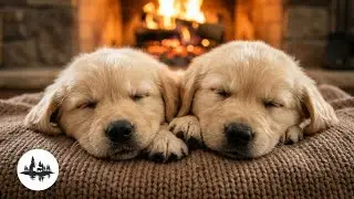 Relaxing Winter Night: Sleeping Puppies, Warm Fireplace & Gentle Piano Music (Stress Relief)