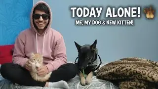 Today me and my pet kitty alone at home 🏡 