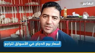أسعار بيع الدجاج في الأسواق تتراجع