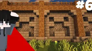 MINECRAFT SURVIVAL MAKING WALL AROUND MY HOUSE { IN HINDI}