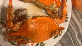 Florida blue crab catch and cook