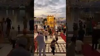 Shri Darbar Sahib Amritsar.  #sikhism #waheguru #khalsa #gurbani #sikh #shorts#reels