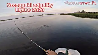 Szczupaki odpaliły, zbiornik PZW , Twitching kontra guma kanibal.