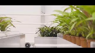 LKP Plants - Vertical Airflow 2D-Shuttle bench system