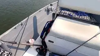 DELAWARE FLOUNDER FISHING LEWES & BROADKILL RIVER  6/4/2025