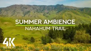 Spring Calm on Nahahum Trail | 4K Nature Soundscape with ASMR Birds & Crickets