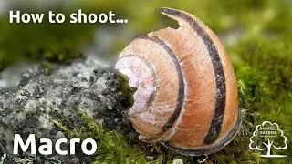 How to shoot macro photographs