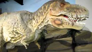 Animatronic T Rex in Drumheller