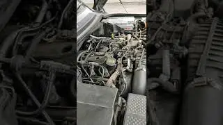 2006 TDV6 Non start