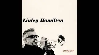 &lsquo;Shinebox&rsquo; from &lsquo;Ginger's Hollow&rsquo; by Linley Hamilton