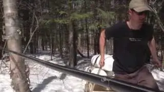 Making Boreal Birch Syrup