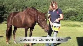 Absorbine - Flex+ Max Mobility Supplement