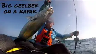 Big Geelbek from a Kayak in Struisbaai
