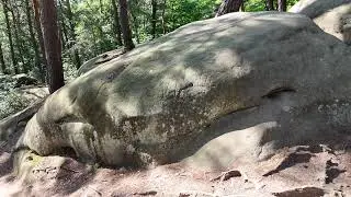 Ciężkowice Skamieniałe Miasto. OGROMNE GADY !!! 4K