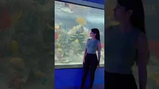 Visitando el Acuario Michin 😁 #acuariomichin #cdmx