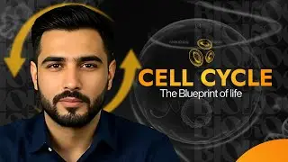 Cell Cycle & Interphase | Explained In Urdu | Class 9 Biology | Sindh Board