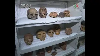 La conservation-restauration en milieu muséal | Entrée Privée