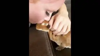 Loving Bunny Moments