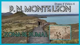 📍📍Zona de Pumas📍📍Parque Nacional Monte Leon, provincia de Santa Cruz, Argentina 🇦🇷🇦🇷🇦🇷