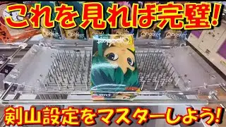 【クレーンゲーム】 剣山設定苦手な人必見！徹底攻略動画！ ゲームセンター