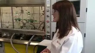 Gilead scientist on process chemistry