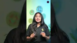 Flag Hoisting vs Flag Unfurling &ndash; Difference Explained 🇮🇳 | Independence Day Special #seekhoapp