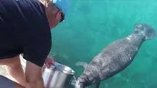 Atlantis Local - September 2018