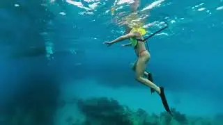 Snorkeling sombrero reef