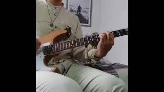 Lemon Demon - fine (guitar cover) #lemondemonfine #lemondemon #electricguitarcover #electricguitar