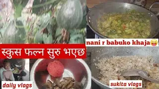 अहिले जाडो सिजनमा पनि स्कुस फल्ने रहेछ@SUKITA VLOGS
