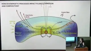 The Role of the Environment in Shaping Protoplanetary Disk Composition and Evolution