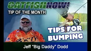 How To Bump for Catfish