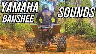 Yamaha Banshee 2 Stroke Exhaust Sounds Compilation Toomey T5 Pipes and Silencers