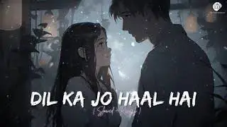 Dil ka jo haal hai (slowed & reward) #subscribe to my channel #likeandsubscribe 