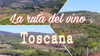 LA RUTA DEL VINO EN TOSCANA / GREVE IN CHIANTI