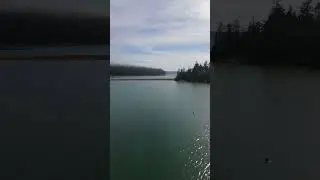 Bywater Bay from Above | 4K Cinematic FPV at Hood Head (PNW)