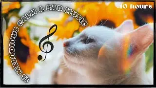 White Cat | 13 Melodious Calm & Sad Music | 10 Hours | Relaxation Ambience