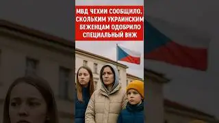 СПЕЦИАЛЬНЫЙ ВНЖ В ЧЕХИИ. #emigrantcz #работавчехии #чехия