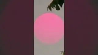 🌅 #sun #sunrise @top.tags #sunshine #sky_collection #twilightscapes #sunriselovers #youtube #shorts