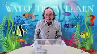 Learn about Oceans  part-1 | for kids