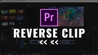 How to Reverse /Play Backwards a Clip In Premiere Pro